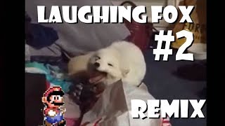 Cute White Fox Laughing  Remix Compilation 2 [upl. by Nanci]