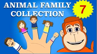 Finger Family Collection  7 Animal Finger Family Songs  Daddy Finger Nursery Rhymes [upl. by Meggs17]