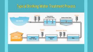 Coagulation Flocculation [upl. by Gitt]