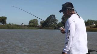 Large Delta Striper using Spoons  Jigging for striped bass [upl. by Daegal625]