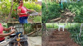 coleita de pimenta do reino como plantar abrindo o caminho do açude e jantar 🐟 colido no sítio [upl. by Stavro]