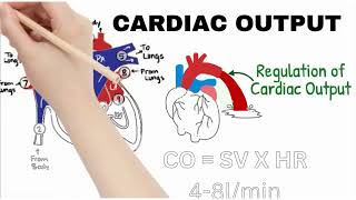 The Determinants Of The Normal Cardiac Cycle [upl. by Atteyek676]