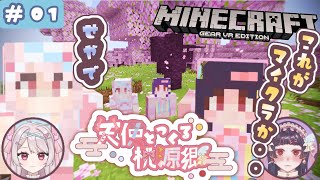 【🔰マイクラ実況】 １知識ゼロの初心者と二人でまったり【マインクラフトMinecraft】 [upl. by Nitfa]