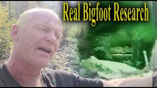 Real Bigfoot Research Sasquatch exist [upl. by Neersin]