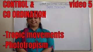 CONTROL AND COORDINATION Phototropic movements BIOLOGY ICSE Grade 10th [upl. by Akihsan]