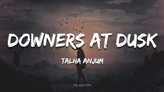 Talha Anjum  Downers At Dusk Lyrics  Prod by UMAIR  TA Editor [upl. by Ilera228]