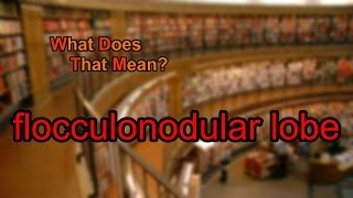 What does flocculonodular lobe mean [upl. by Jeth]