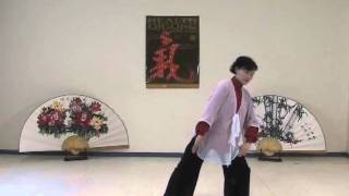 Health Qigong  Ba duan Jin  Eight Pieces of Brocade [upl. by Yauqram]