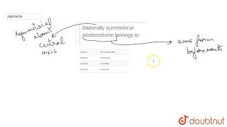 Bilaterally symmetrical deuterostome belongs to [upl. by Andeee]