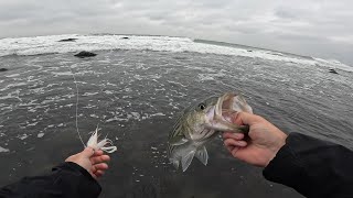 An Intro to the 2023 Fall Run Fishing the Montauk White Water for Striped Bass [upl. by Doble]