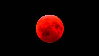 Lunar Eclipse 2011 Amazing Next Lunar Eclipse Video Will turn moon BLOOD RED like this [upl. by Acilejna]