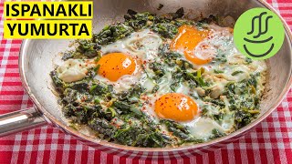 Ispanaklı Yumurta  Yumurtalı Ispanak [upl. by Anjela]