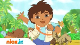 Go Diego Go  Herkenningsmelodie  Nick Jr Nederlands [upl. by Ateekahs]