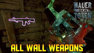 Mauer Der Toten  All Wall Weapon Locations Black Ops Cold War Zombies [upl. by Jolenta]