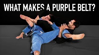 What Makes A Purple Belt  The Simple Explanation [upl. by Dahc]