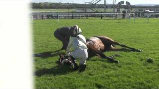 Racing horse death by accident in Galway [upl. by Ilram]