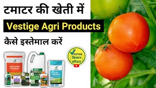 Tamatar me Vestige Agri Products kaise istemaal Karen [upl. by Knobloch940]