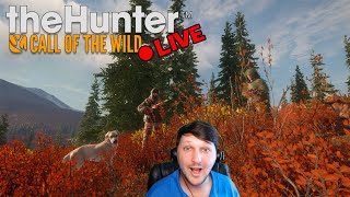 LIVE Hunt amp Hang  theHunter Call of the Wild [upl. by Aihseuqram]