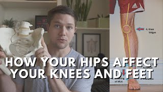 How Your Hips Influence Your Leg Knee amp Foot  Beginner Biomechanics [upl. by Roshan]