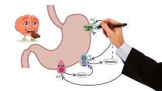 Pharmacology  GASTROINTESTINAL AND ANTIEMETIC DRUGS MADE EASY [upl. by Eehc]