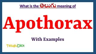 Apothorax Meaning in Telugu  Apothorax in Telugu  Apothorax in Telugu Dictionary [upl. by Anayad]