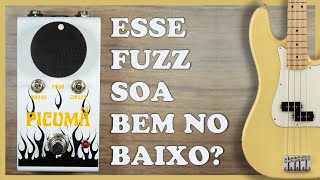 FUZZ PICUMÃ NO BAIXO  Wintter Labs  review [upl. by Ellatsyrc]