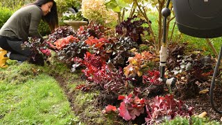 Planting 21 Heucheras in my GARDEN 🌿 Soil amp Margaritas [upl. by Yeleen]