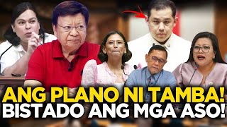 CONG MARCOLETA BINULGAR ANG PLANO NI TAMBA IYAK MGA ASO NI TAMBA [upl. by Jackquelin432]