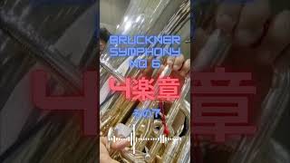 Bruckner Symphony No 6 4楽章その７ shorts tuba bruckner [upl. by Nahguav]