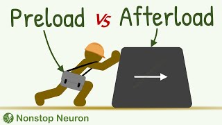 Cardiac output Part2  PreloadAfterloadContractility  Cardiac output anatomy and physiologyLec8 [upl. by Nej]