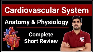 Cardiovascular System Anatomy amp Physiology Complete Short Review [upl. by Cirted]