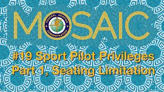 FAA MOSAIC Rule Proposal 19  Sport Pilot Privileges  Part 1 [upl. by Odrick601]