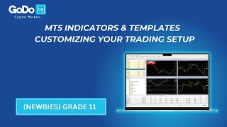 MT5 Indicators amp Templates  Customize Your Trading Setup [upl. by Ahouh]