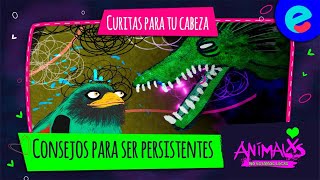 Curitas para tu cabeza consejos para ser persistentes  Animalxs no estamos locxs [upl. by Janella292]