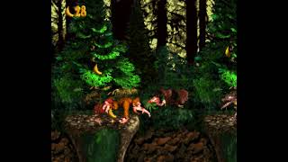 Donkey Kong Country SNES  Vale Vinhas  Ira da Selva [upl. by Raamal944]