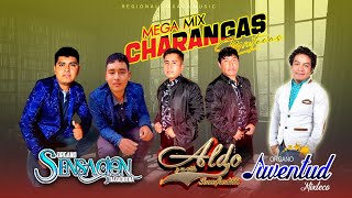 MegaMix De CharangasJuventud Mixteco Ft Organo Sensacion Oaxaqueña  Aldo y su Estilo Inconfundible [upl. by Virgil]