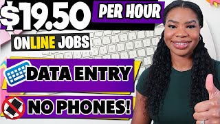 Data Entry Work From Home Jobs Get Paid 1950Hour  No Experience No Phone Required [upl. by Eseuqcaj]