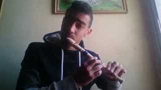 Titanic  Recorder Beatbox  Medhat Mamdouh [upl. by Pooi960]