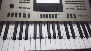 Mere Rashke Qamar on Keyboard  Casio  Piano tutorial [upl. by Giacamo]