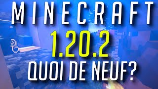 Quoi de Neuf dans Minecraft 1202 [upl. by Allenad]