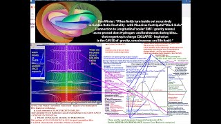 Deeper STAR TREK Physics Warp Stargate Portals Wormhole Navigation as Dream Lucidity Dan Winter [upl. by Laehpar343]