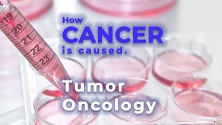 Cancer  Oncology  Oncogene  Tumor suppressor gene  Malignant tumor  Metastasis [upl. by Nicoline586]