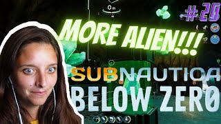 Marine biologist plays SUBNAUTICA BELOW ZERO 20 [upl. by Jammin638]