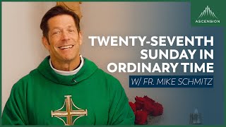 Twentyseventh Sunday in Ordinary Time  Mass with Fr Mike Schmitz [upl. by Bozuwa]