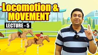 Locomotion and Movement l Lecture 5 l Biology l NEET [upl. by Ecinehs130]