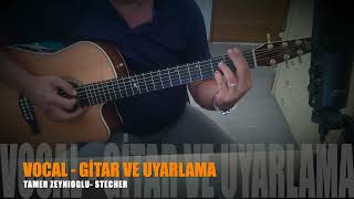 Deli Mavi  Vocal Gitar [upl. by Leighland]