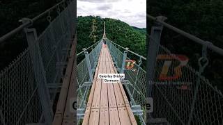 Geierlay Bridge in Germany shorts europe travel germany [upl. by Gaskill288]