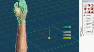 Metasequoia Rundown  Basic [upl. by Audette739]