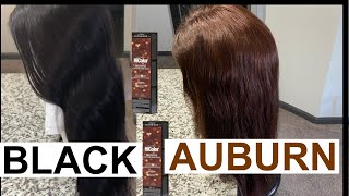 HOW TO GO FROM BLACK TO AUBURN BROWN HAIR  NO BLEACH [upl. by Anassor709]