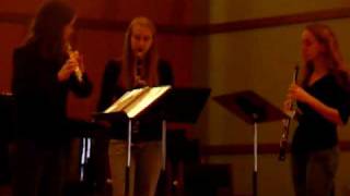 Kuhlau Woodwind Trio Sonatina Op 20 No 1 [upl. by Nedda]